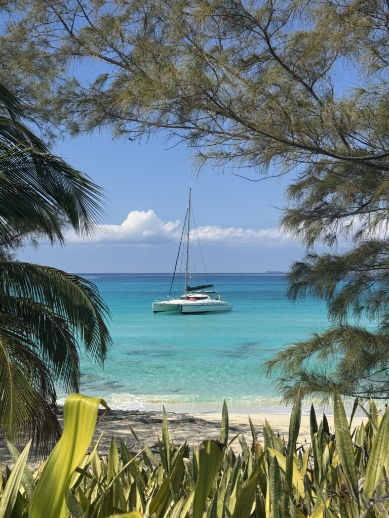 Bimini travel logistics